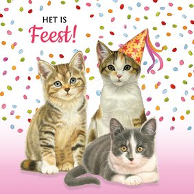 Verjaardagskaart met gezellige katjes die een feestje vieren