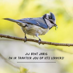 Verjaardagskaart met meesjes