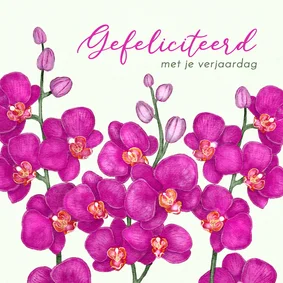 Verjaardagskaart met paarse orchideeën