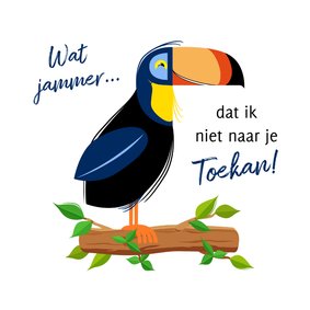 Verjaardagskaart met tekening van een toekan op tak