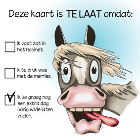 Verjaardagskaart Paard te laat