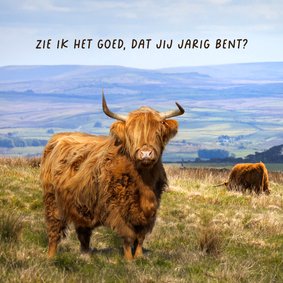 Verjaardagskaart Schotse hooglander 