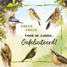 Verjaardagskaart tjielpende vogels