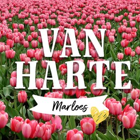 Verjaardagskaart tulpen en naam