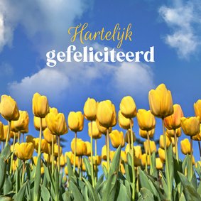 Verjaardagskaart tulpen veld geel blauw gefeliciteerd