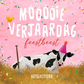 Verjaardagskaart van een koe met feestmuts en confetti