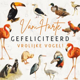 Verjaardagskaart voor een vrolijke vogel