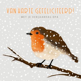 Verjaardagskaart winter met een roodborstje in de sneeuw