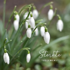 Verstilde condoleancekaart met natuur foto van sneeuwklokjes