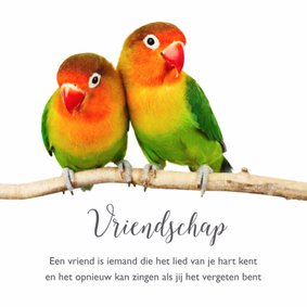 Vriendschap kaart 2 lieve vogeltjes