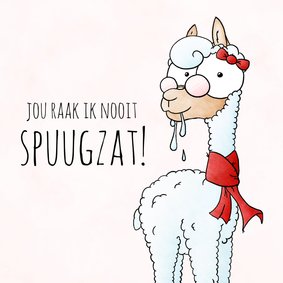 Vriendschap kaart lama - Jou raak ik nooit spuugzat!