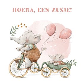 Vrolijk felicitatie kaartje zusje met olifantjes op de fiets