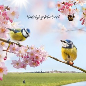 Vrolijke felicitatie met vogels