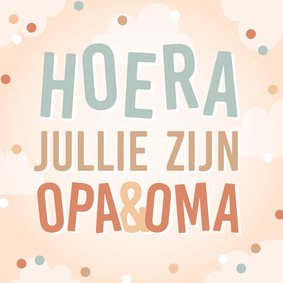 Vrolijke felicitatiekaart 'jullie zijn opa en oma'