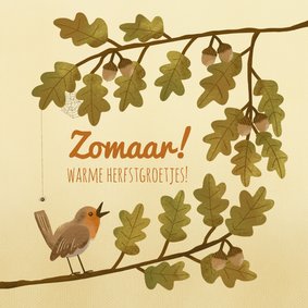 Warme herfstige zomaar-kaart met blad, eikels en roodborstje
