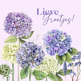Wenskaart blauwe en witte hortensia's