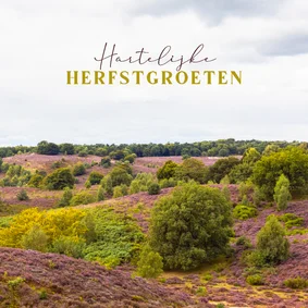 Wenskaart bloeiende heide