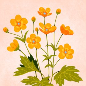 Wenskaart gele bloemetjes boterbloem