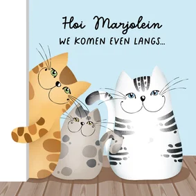 Wenskaart katten knuffels