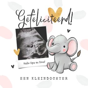 Wenskaart kleindochter echo olifant hartjes