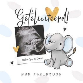 Wenskaart kleinzoon opa en oma olifant hartjes 