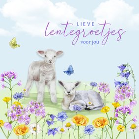 Wenskaart lammetjes wilde bloemen