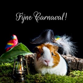 Wenskaart met als piraat verklede cavia 