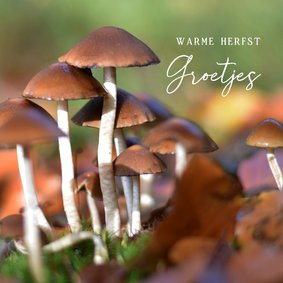Wenskaart met natuurfoto van bruine paddenstoelen