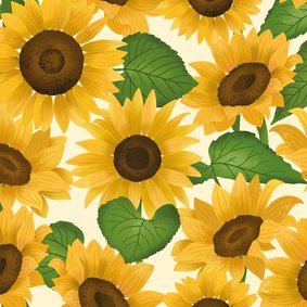 Wenskaart met zonnebloemen patroon