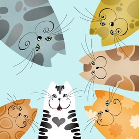 Wenskaart nieuwsgierige katten