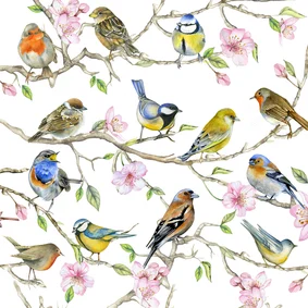 Wenskaart Opa en oma vogeltjes