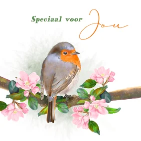 Wenskaart roodborstje met appelbloesem