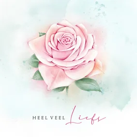 Wenskaart roze roos waterverf