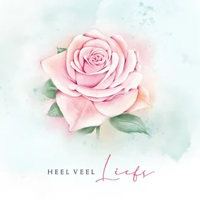 Wenskaart roze roos waterverf