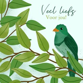 Wenskaart veel liefs voor jou met vogel