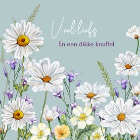 Wenskaart voorjaarsbloemetjes Marietjes