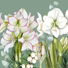 Wenskaart witte amaryllis eucalyptus