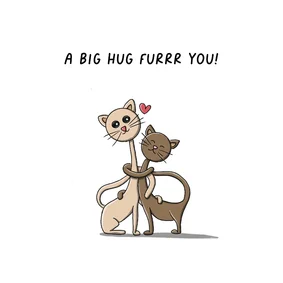 Wenskaart zomaar a big hug furrr you kaart