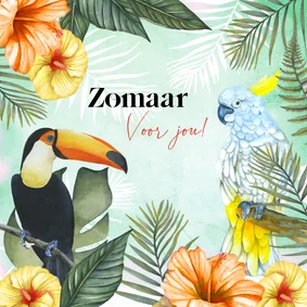 Wenskaart Zomaar tropische vogels