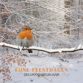 Winters bos met roodborst