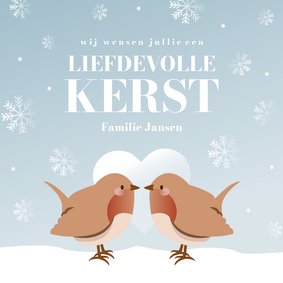 Winters kerstkaartje met vogeltjes liefdevolle kerst