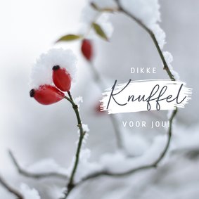 Winterse beterschapskaart met natuur foto rozenbottel 