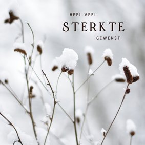 Winterse condoleance kaart met natuurfoto in de sneeuw