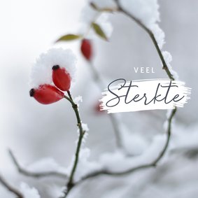 Winterse condoleance kaart met rozenbottel in de sneeuw