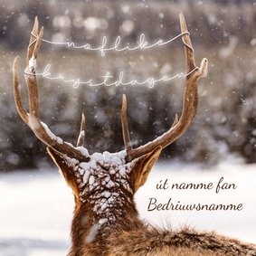 Zakelijke friese kerstkaart met mooie foto van rendier