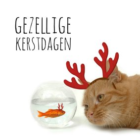 Zakelijke kerstkaart goudvis en kat