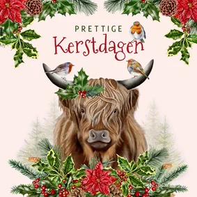 Zakelijke kerstkaart schotse hooglander roodborstjes