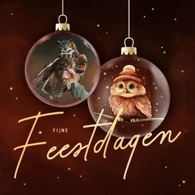 Zakelijke kerstkaart vogel kerstballen met foto en uil