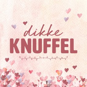 Zomaar - dikke knuffel roze hartjes