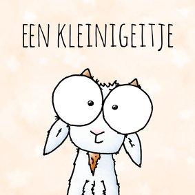 Zomaar kaart geitje - Een kleinigeitje 